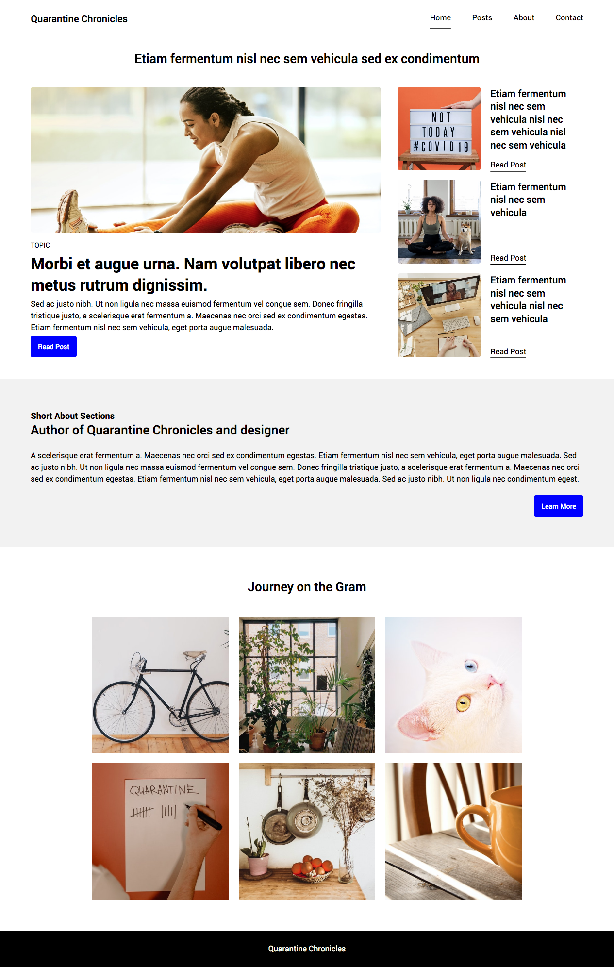 Quarantine Chronicles a blog site design. image of the home page. By: Katherine Delorme