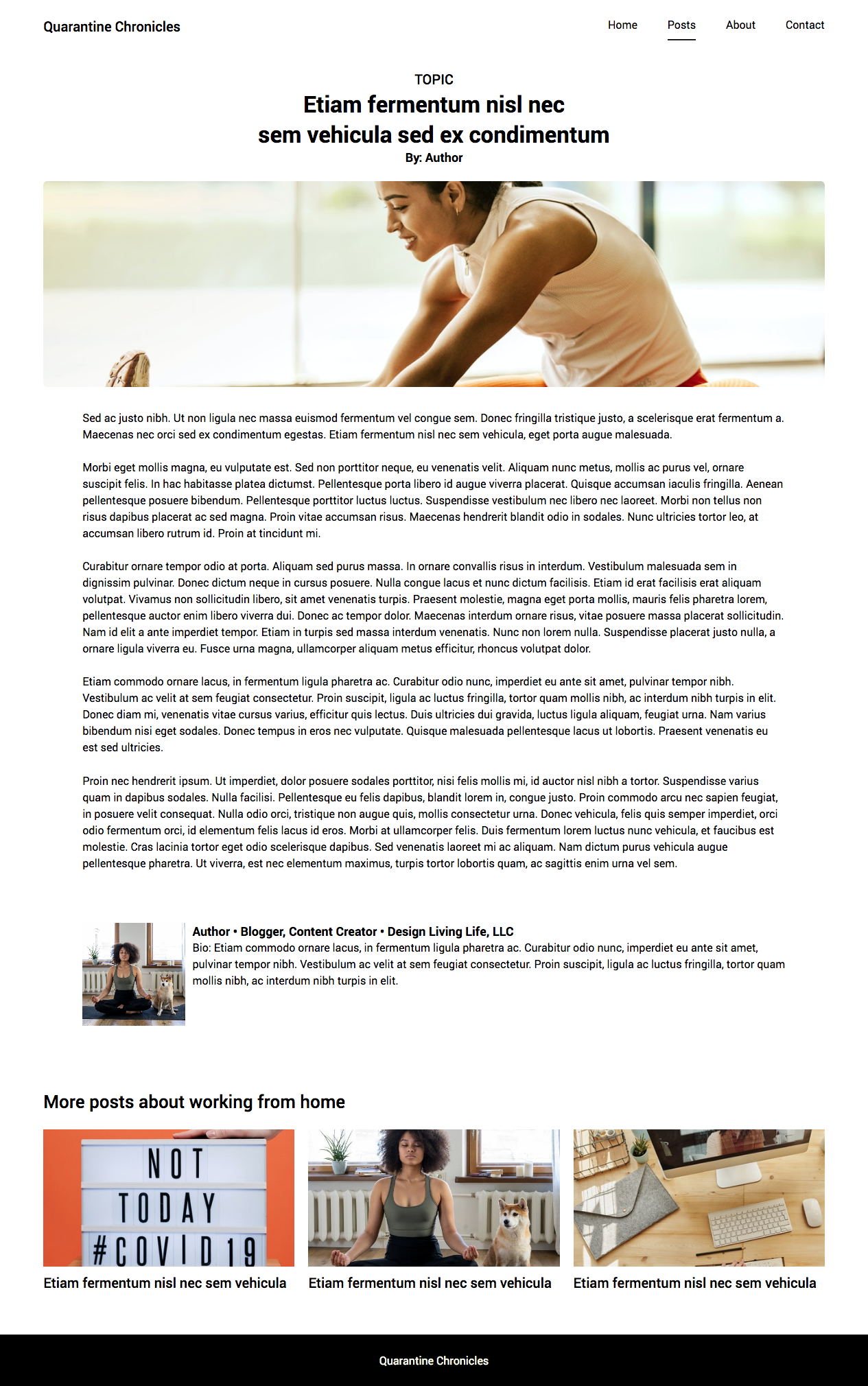 Quarantine Chronicles a blog site design. image of the blog post page. By: Katherine Delorme