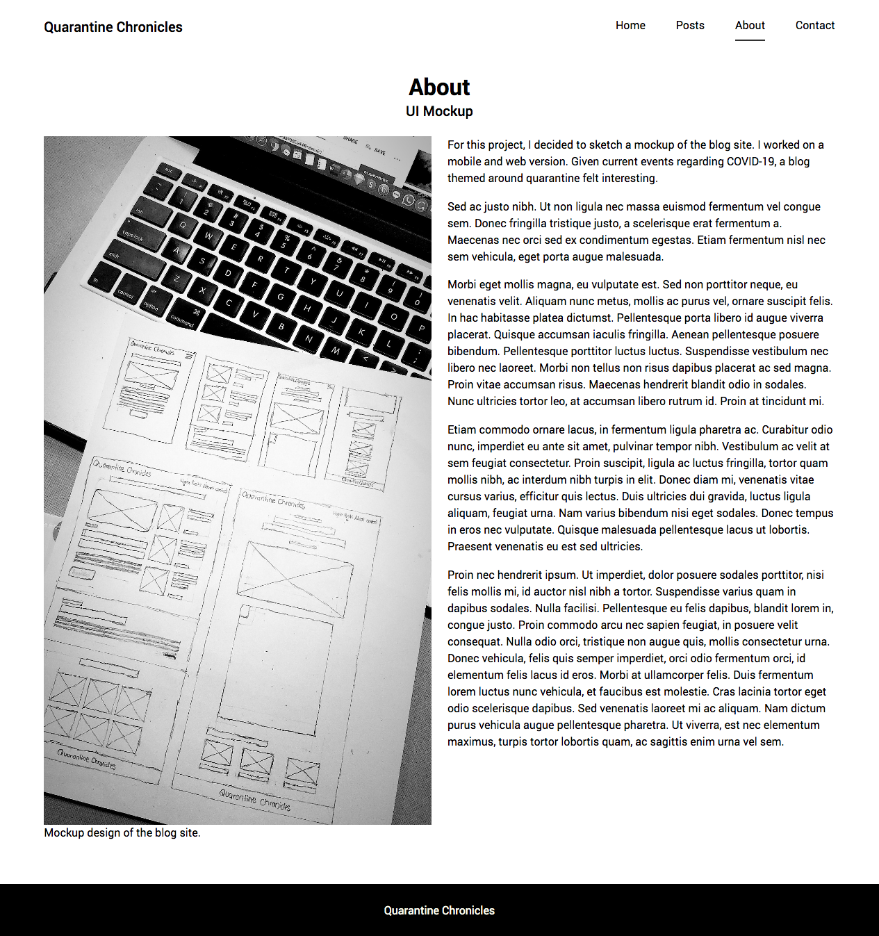Quarantine Chronicles a blog site design. image of the about page.